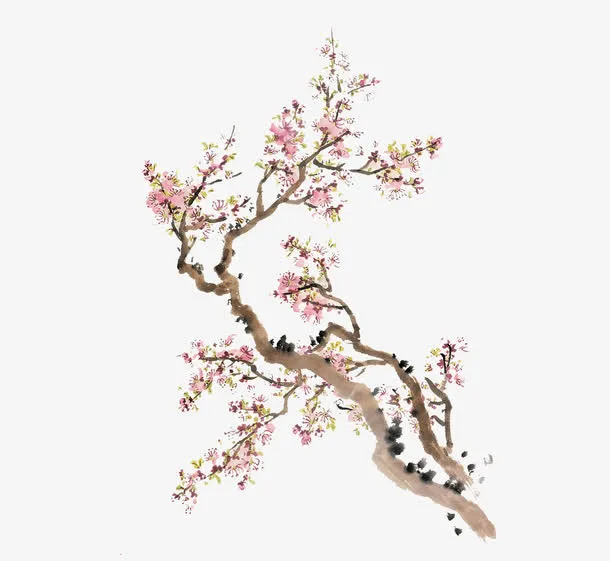 杏花花瓣免抠