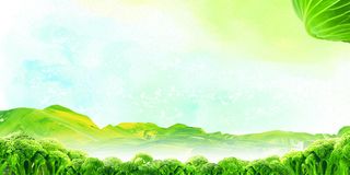 公益节约粮食绿色背景高清