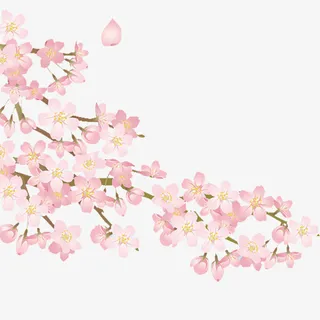 春天樱花免扣免抠动植物植物元素 春天樱花免扣免抠动植物植物元素