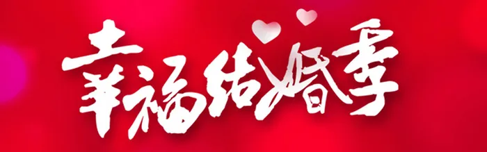 幸福结婚季高清