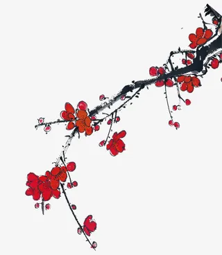 手绘古典图片素材 卡通手绘梅花免抠