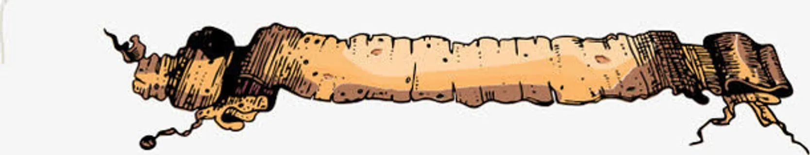 卷纸破败羊皮卷标题题目免抠