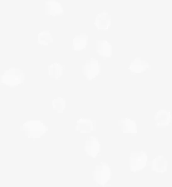 飘落的花瓣免抠