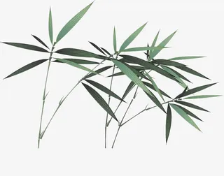 水墨绿色竹枝免抠