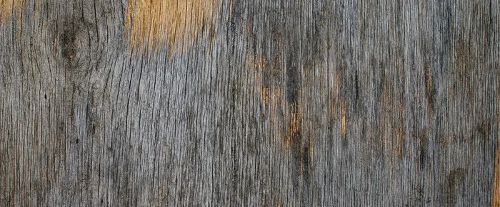 树皮纹理背景高清