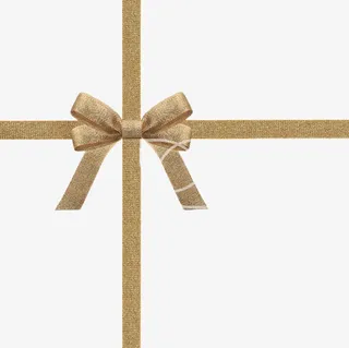 蝴蝶结   盒子的包装带子免抠