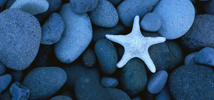 蓝色海滩石头海星背景图高清