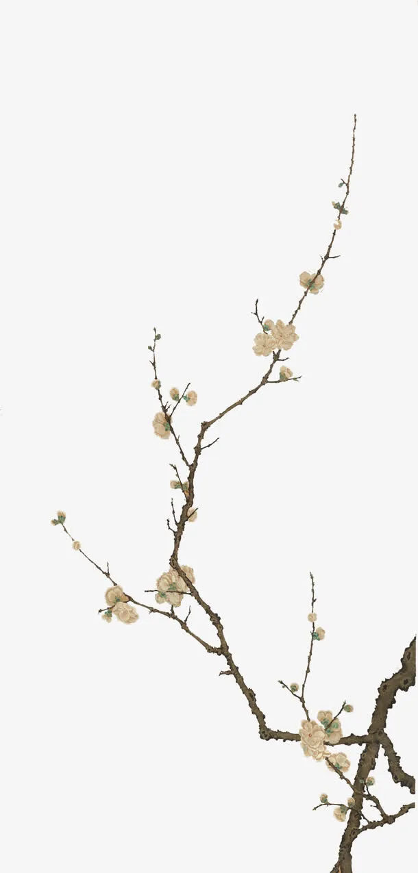 国画梅花免抠