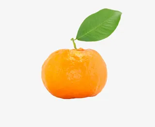 带叶子的橘子免抠