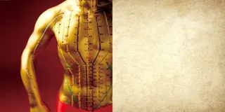 春季养生背景高清