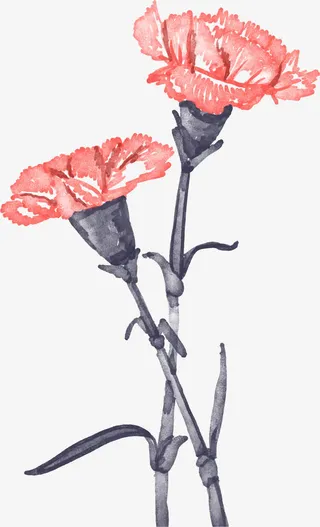 粉红丝网花免抠