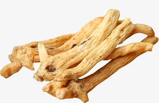 野生玉竹茶免抠