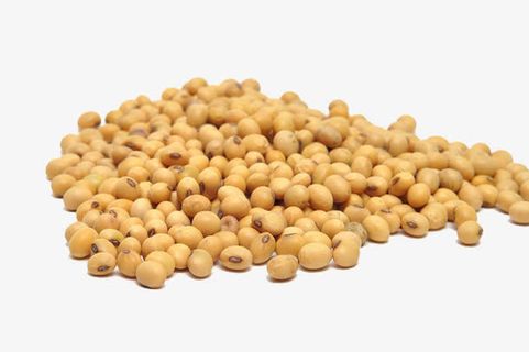黄豆免抠