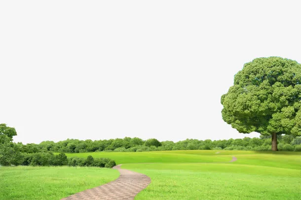 大自然的背景