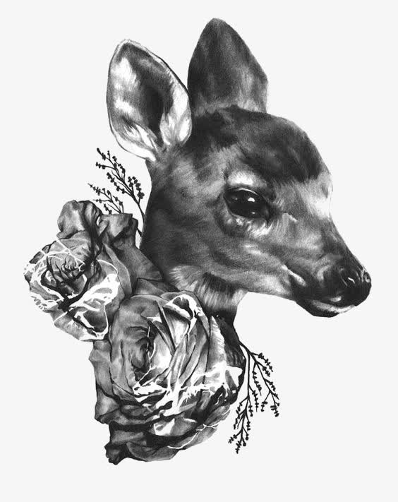 素描小鹿免抠