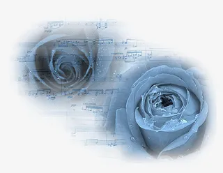 ps花草素材花卉背景素材