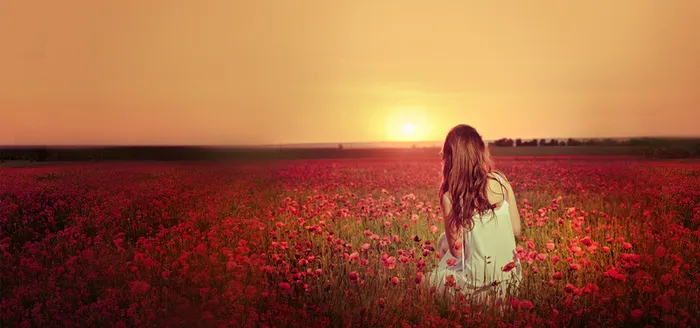 唯美花海背景图高清