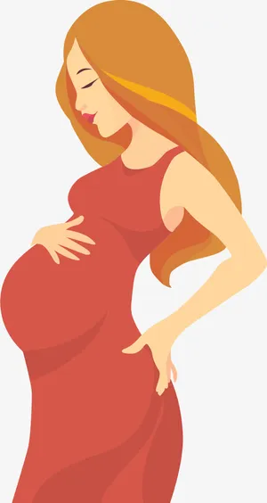 漂亮的孕妇免抠