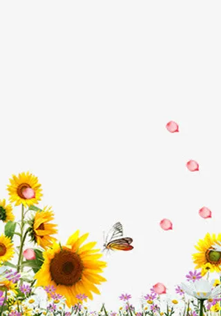 向日葵免抠