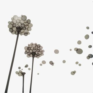 手绘圆点花卉漂浮花瓣免抠