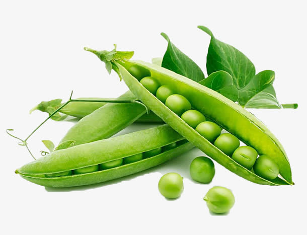 豌豆生鲜植物高清免抠