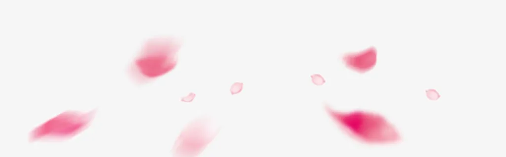 花瓣免抠 花瓣免抠