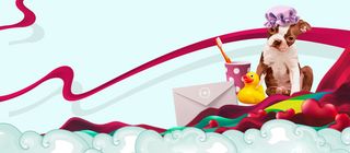 宠物美容狗狗彩带白云卡通蓝banner高清