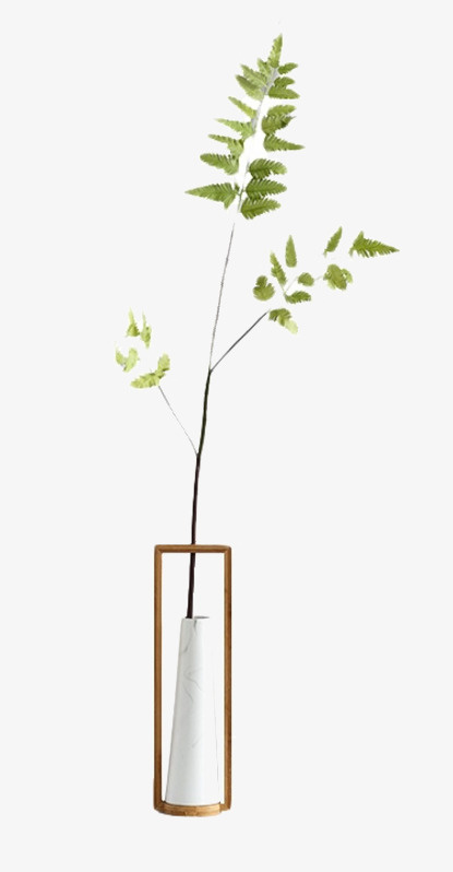 小巧的植物装饰摆件免抠