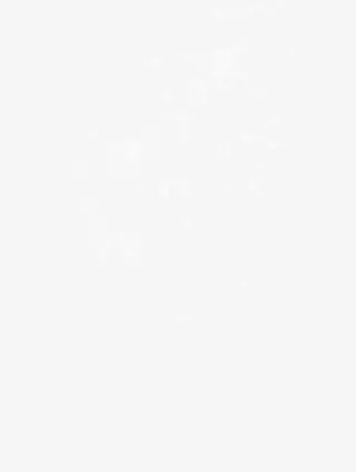 唯美星光光效免抠