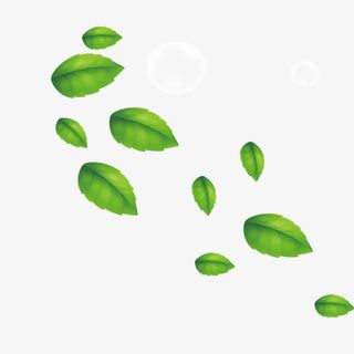 漂浮树叶展会素材免抠