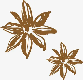 大料调味的辛香料免抠