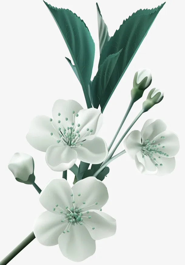 卡通手绘装饰茉莉花素材免抠