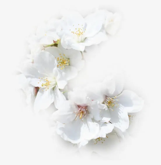 花草装饰素材免抠
