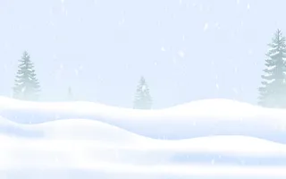 立冬冬季松树高清