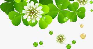 春天手绘水滴绿叶免抠