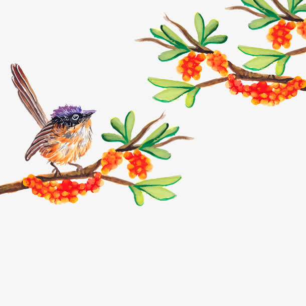 矢量黄鹂鸟免抠