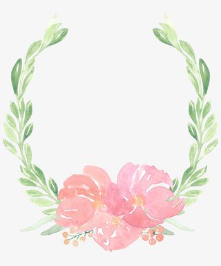 水彩植物花朵免抠