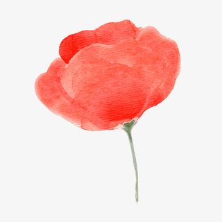 水彩绘红色花朵矢量图免抠