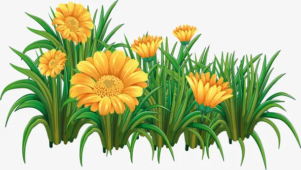 春天美丽黄色花朵免抠