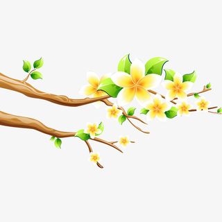 树枝 花 花朵免抠