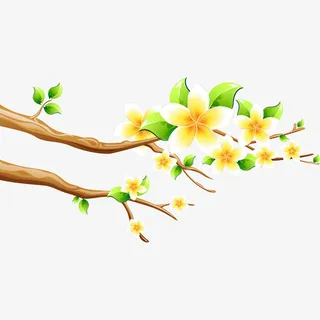 树枝 花 花朵免抠