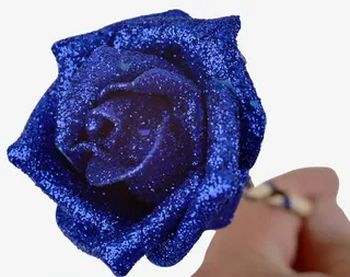 蓝色玫瑰花免抠素材免抠