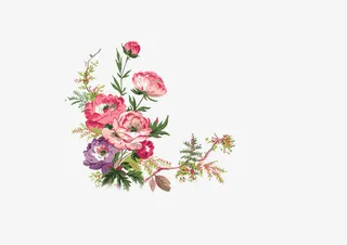 花朵免费下载素材免抠