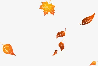 唯美黄色叶子免抠