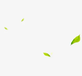 绿色树叶免抠漂浮叶子元素