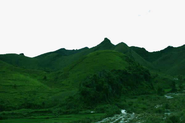 实拍青山免抠
