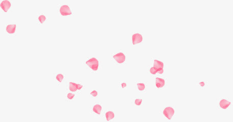 粉红花瓣玫瑰花漂浮免抠