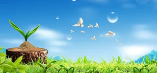 春天自然简约清新背景海报高清