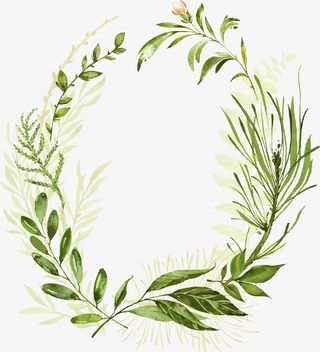 圆形的个性植物边框免抠