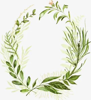 圆形的个性植物边框免抠